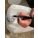 Product Image #5