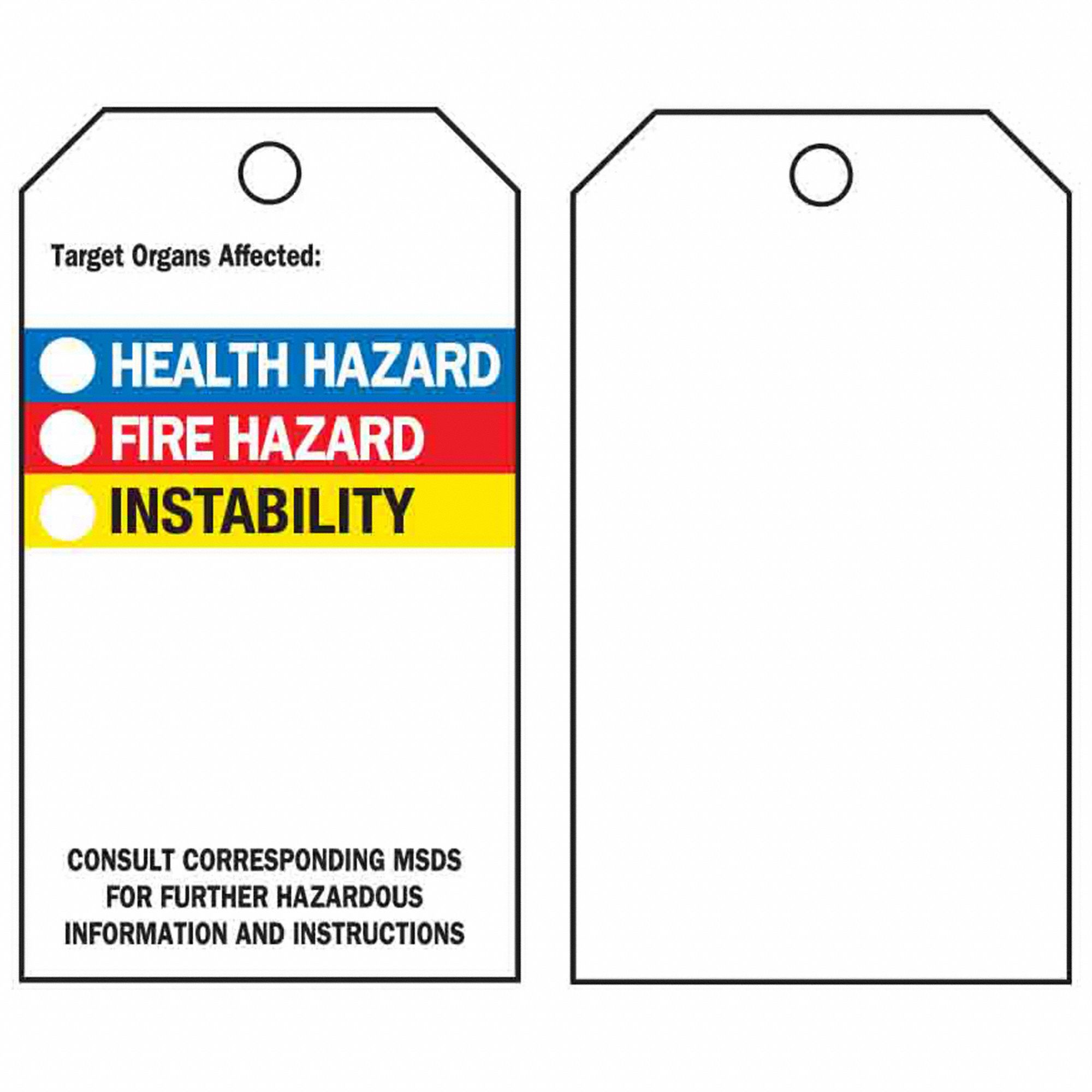 Tag: Polyester, Rectangle, 5 3/4 in Ht, 3 in Wd, 0.01 in Thick, (25) Nylon Ties, White, 25 PK