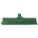 BROOM GREEN