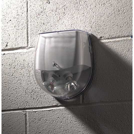 Emergency Light Grainger