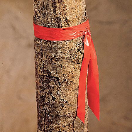 Flagging Tape: Red, No Legend, No Pattern, 300 ft Lg, 1 in Wd, Vinyl