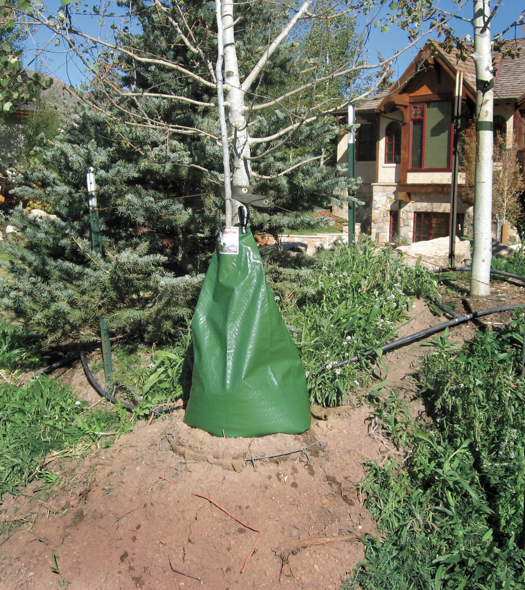 TREE GATOR Tree Watering Bag, 5 to 9 hr Drain Time, 4 in Max. Tree Dia