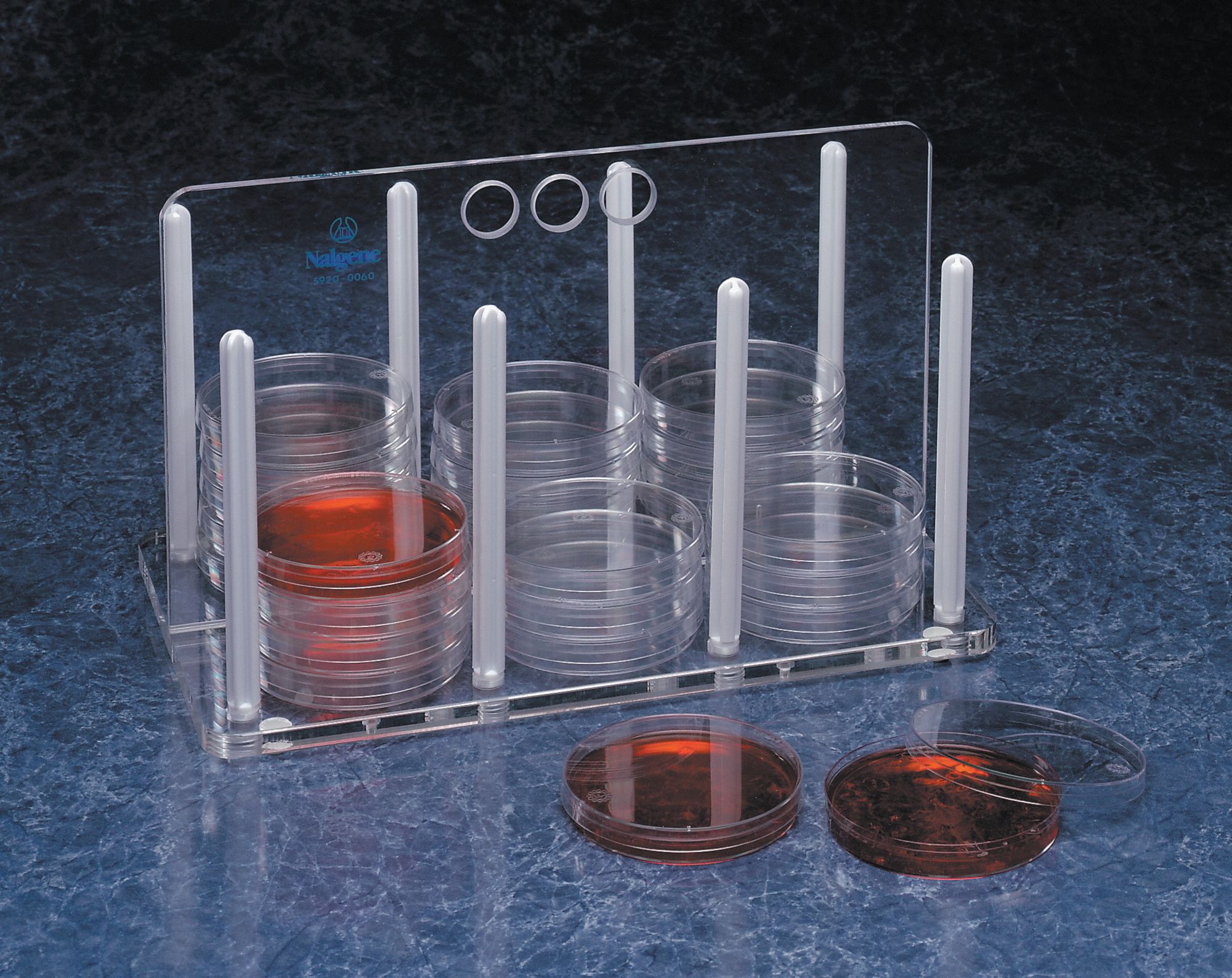 Petri Dish Rack, Clear Grainger