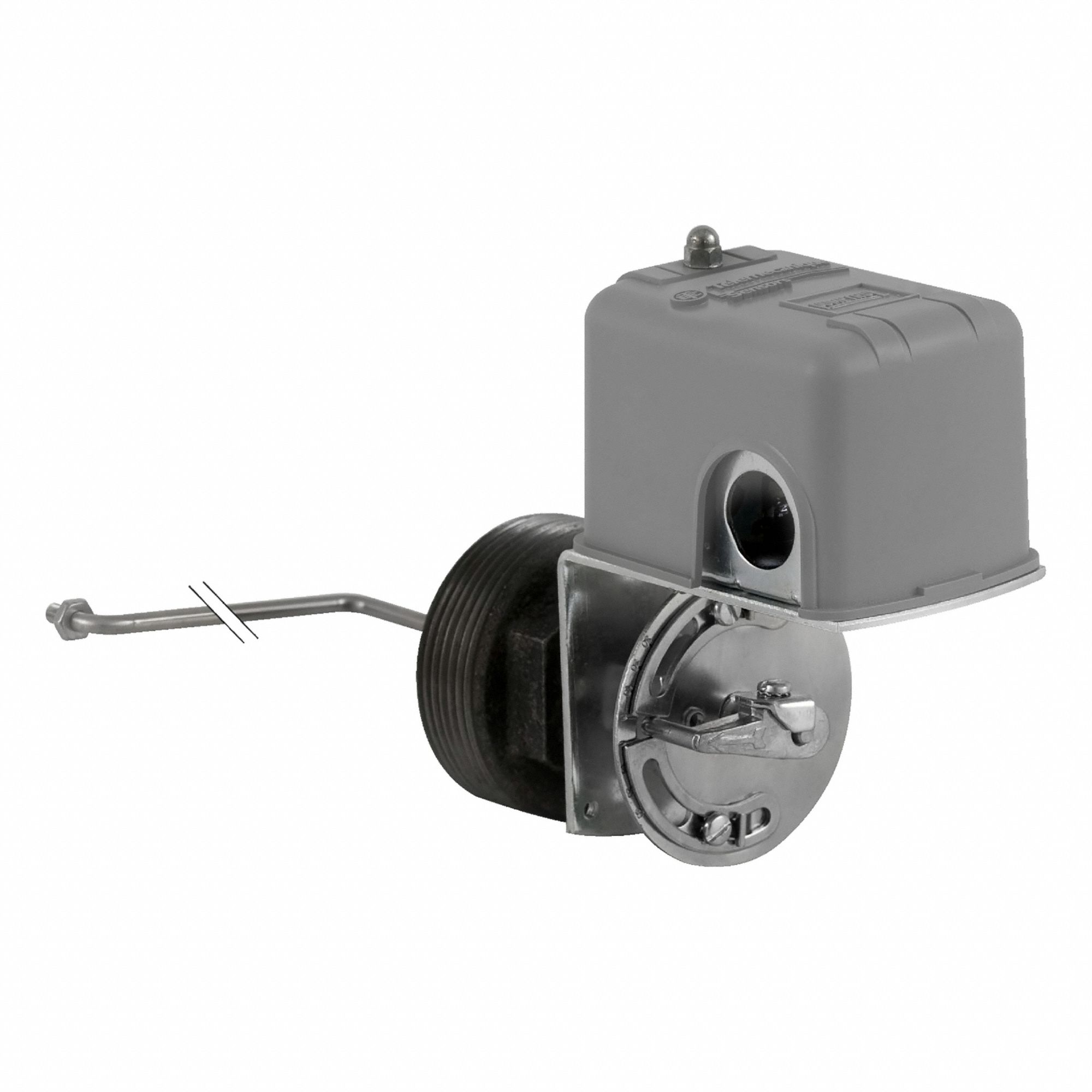 Liquid Level Switch: Close On Rise, DPST-2NC, Steel