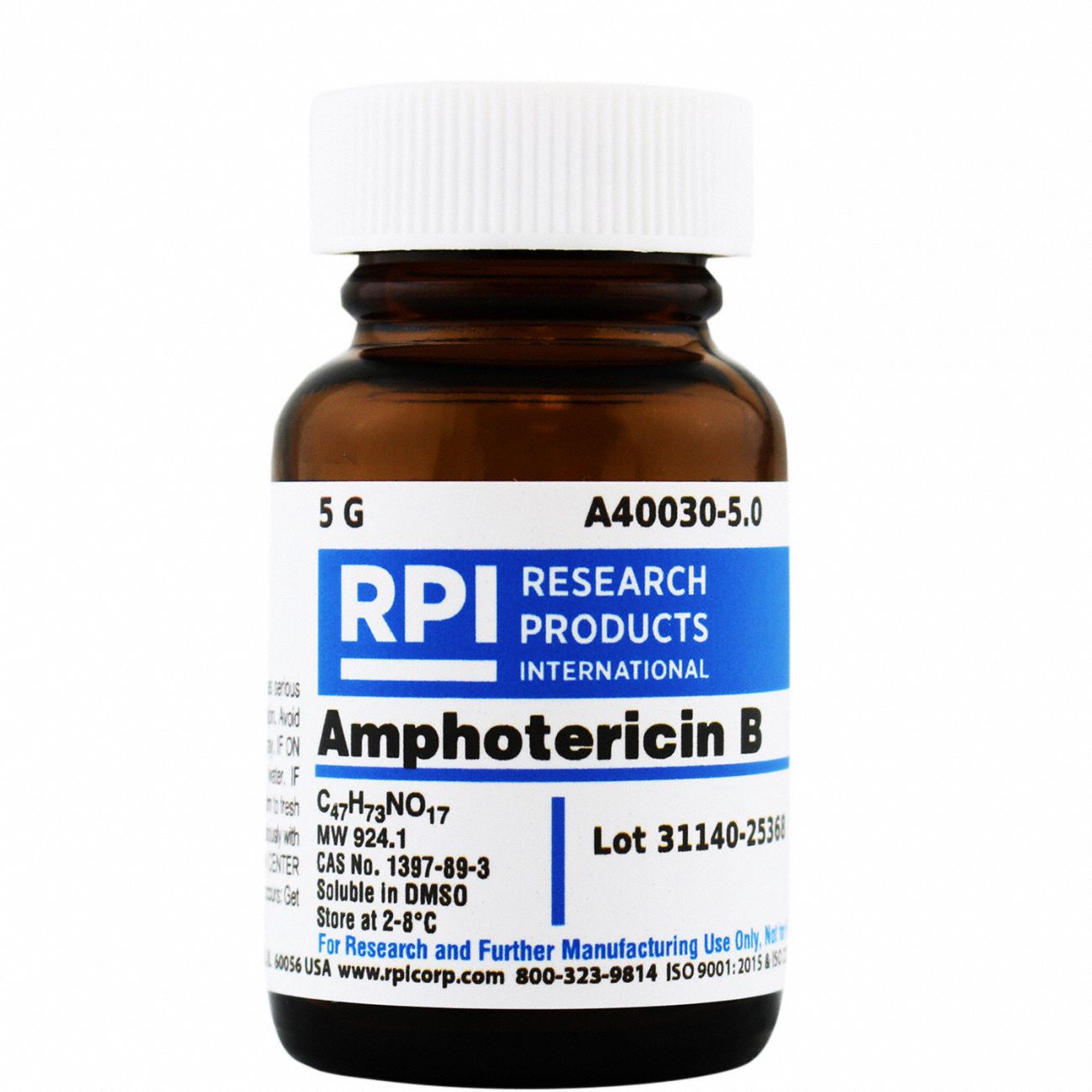 RPI, 5 G Container Size, Powder, Amphotericin B - 30TX18|A40030-5.0 ...