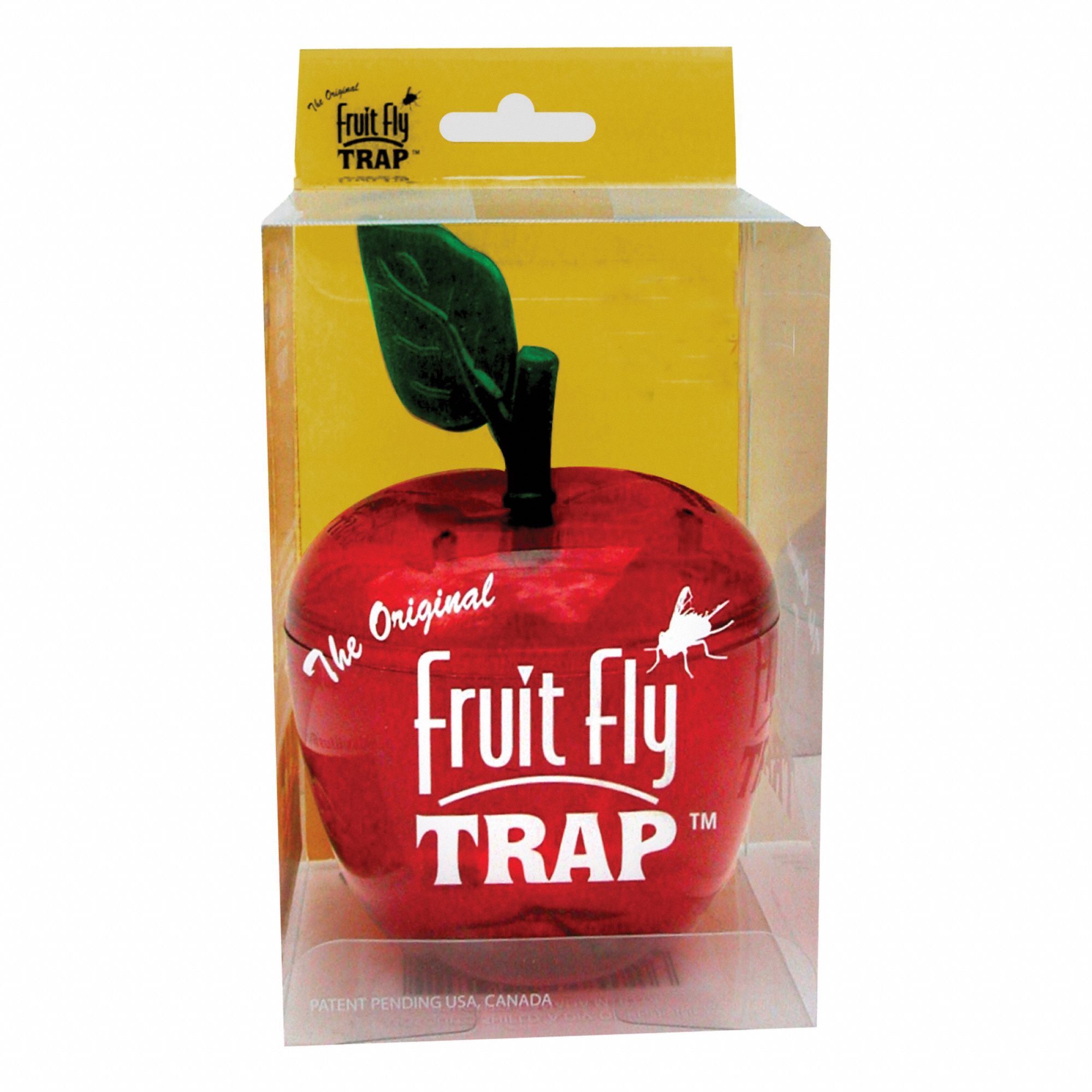 FLY TRAP