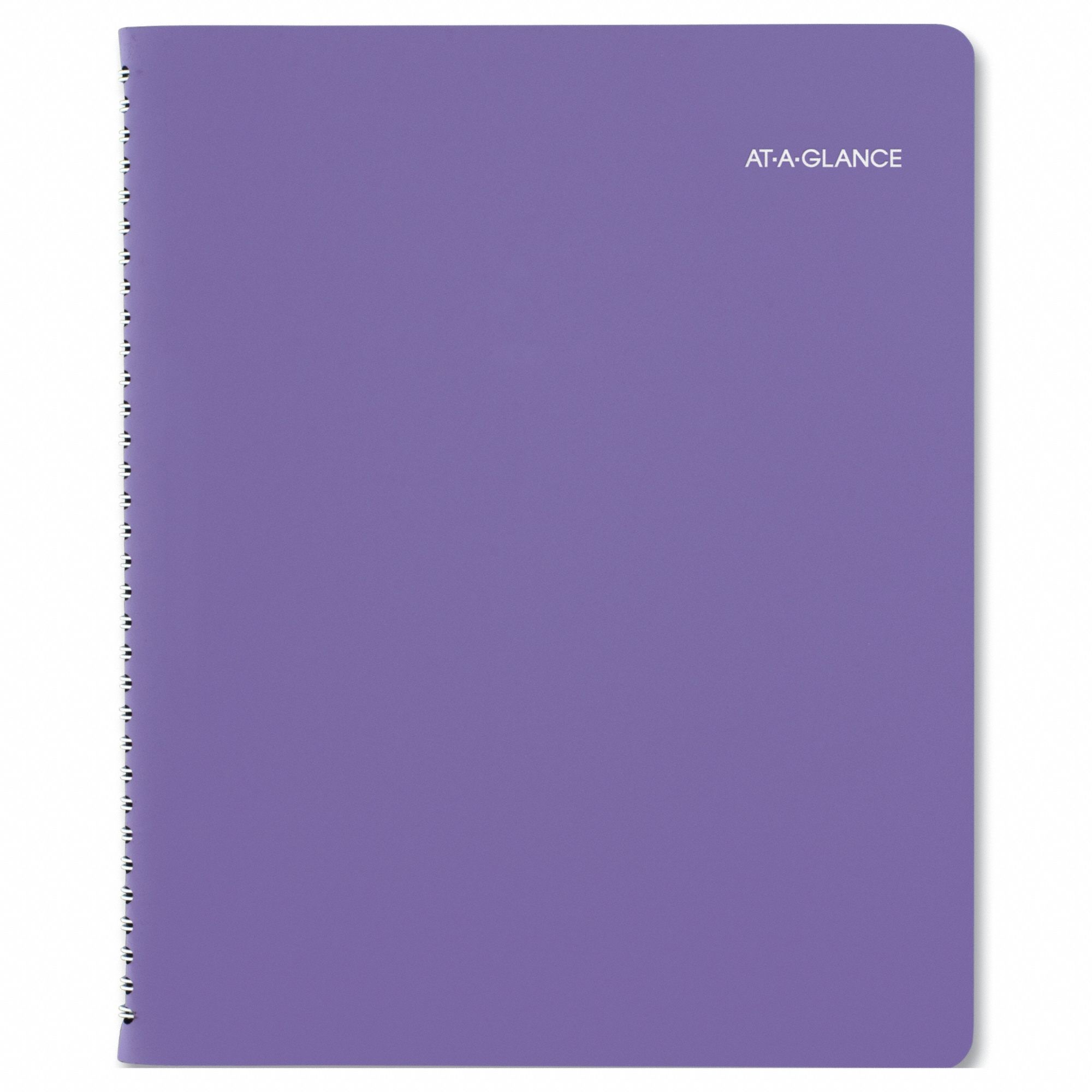 Appointment Book 8-1/2 x 11 Ruled