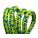 Product Image #5