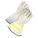 Primary Product Image