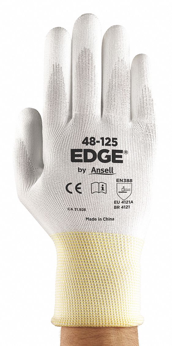 Coated Gloves, White, Size 10, PR