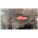 Product Image #5