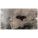 Product Image #6