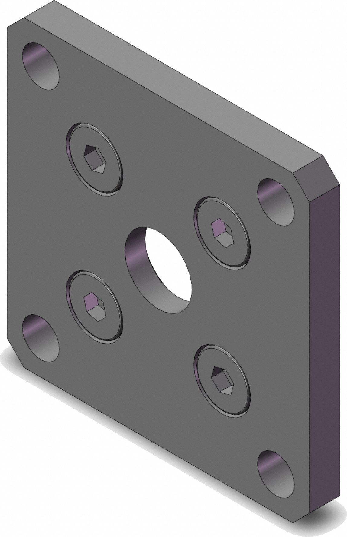 Mounting Bracket: Flange/Foot Mount Type, Fits 63 mm Bore Dia, Stainless Steel, CG-F063SUS