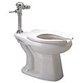 Toilets, Urinals & Repair Parts image