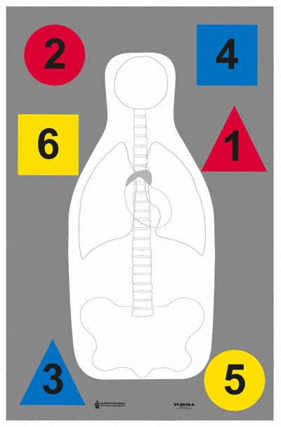 Multipurpose Training Target PK100