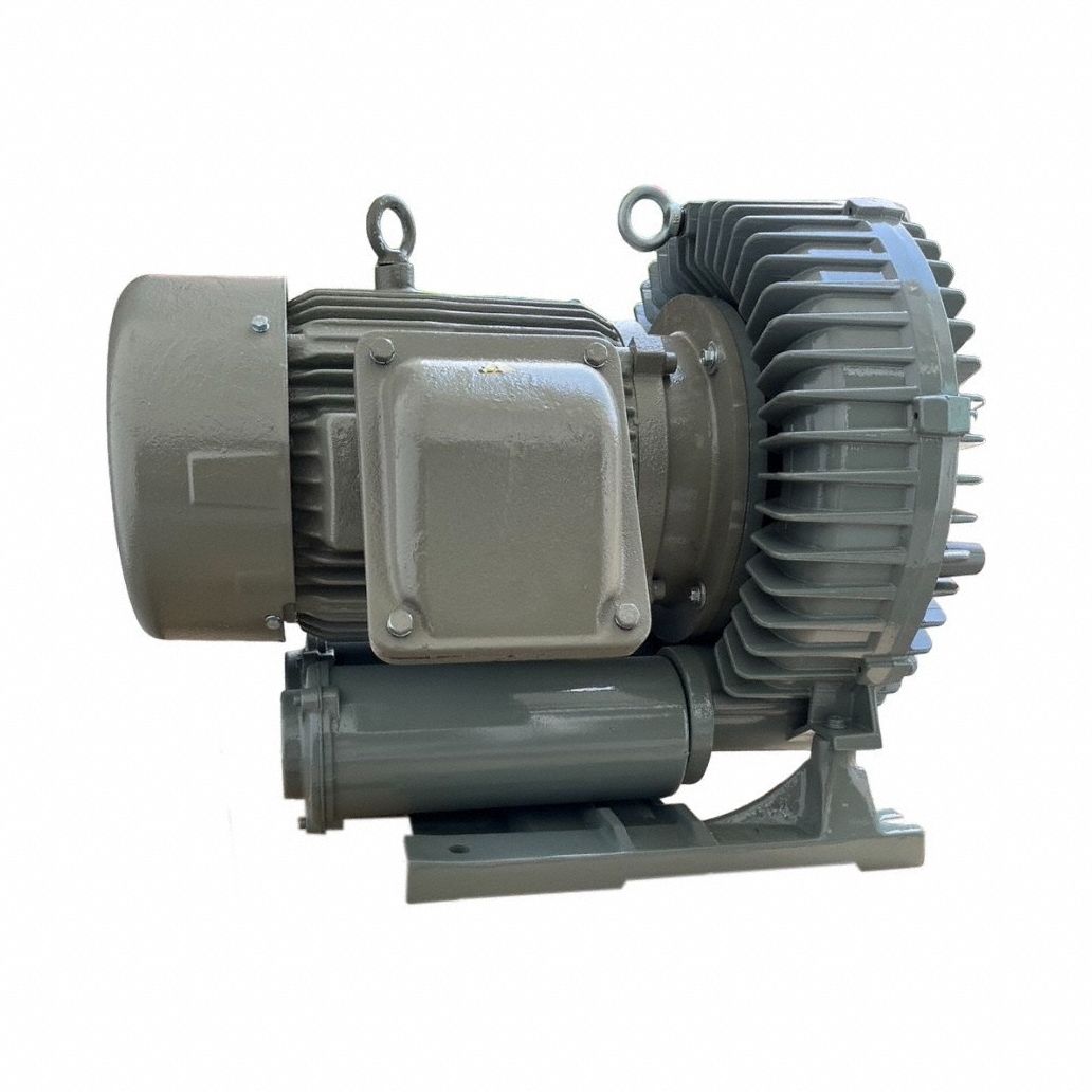 Explosion Proof Regenerative