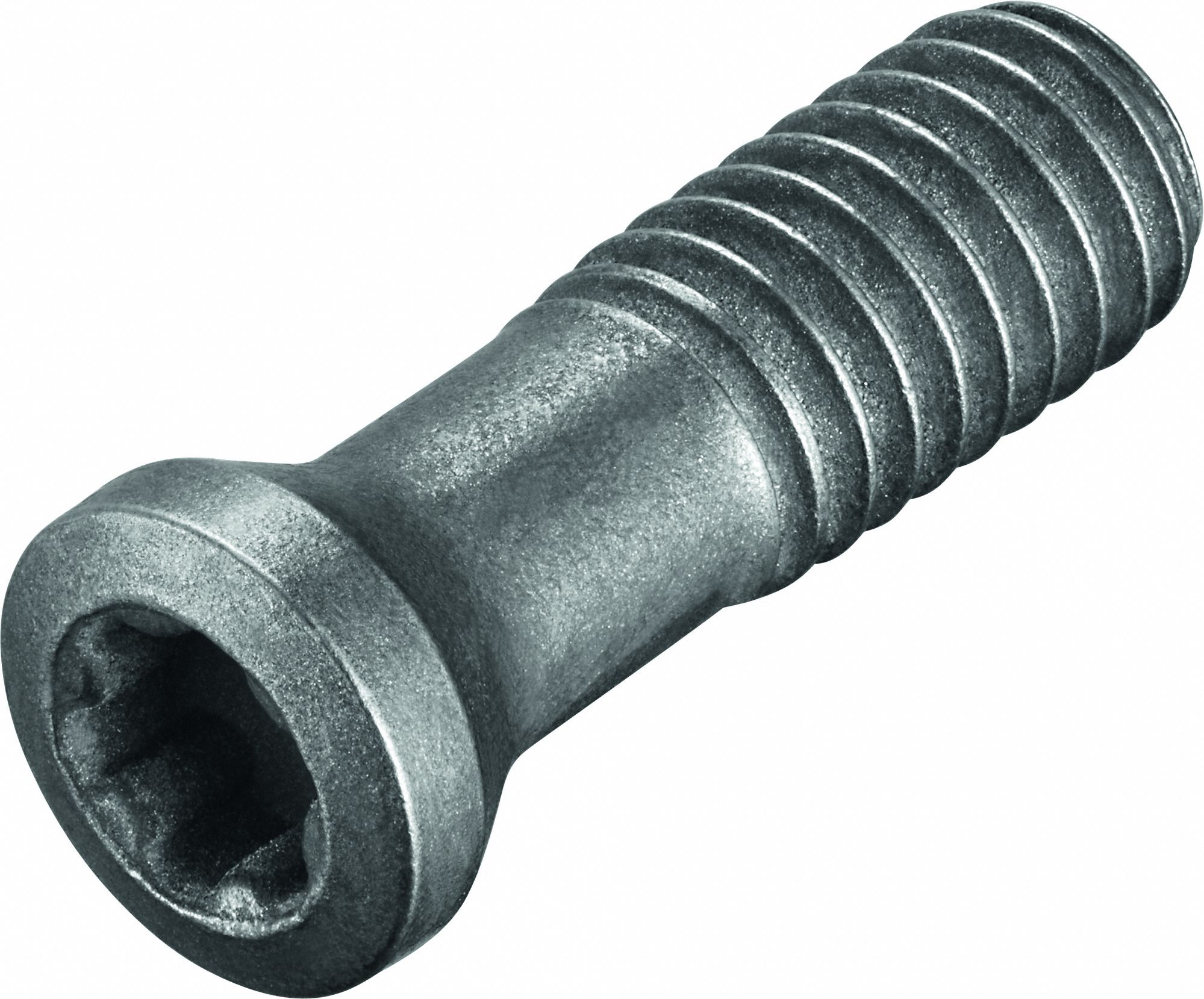 Insert Screw, FS2299