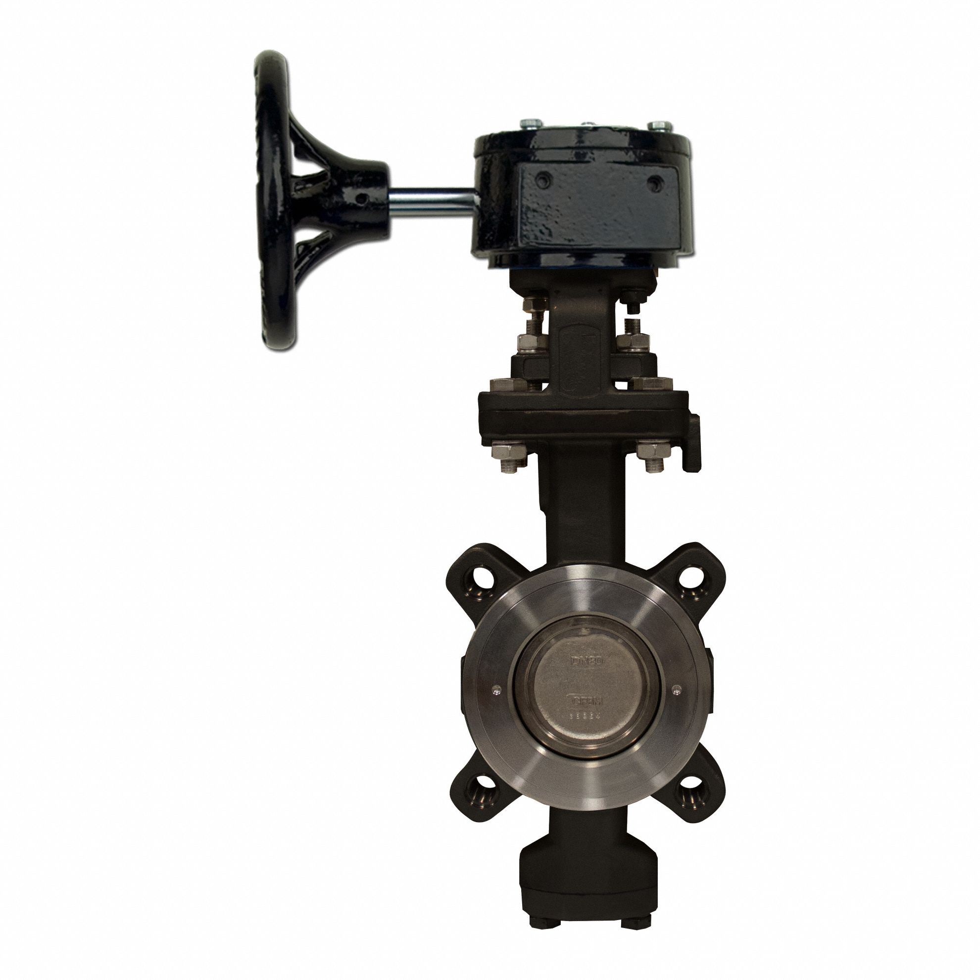 Butterfly Valve: For Combustible Gases/Natural Gas/Steam/Water Media, 10 in Pipe Size, Lug