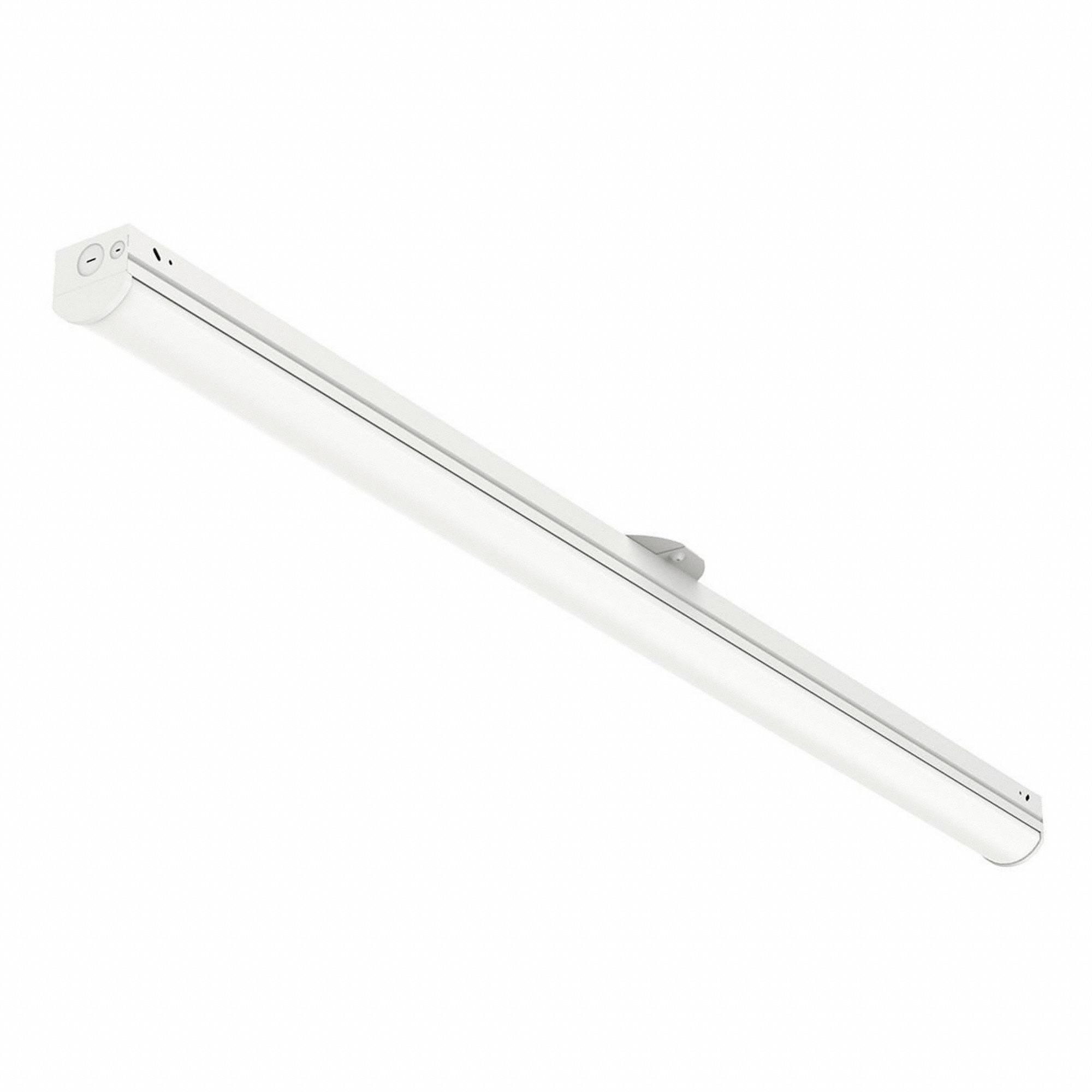 LED ROUND LENS,4 FT L STRIP