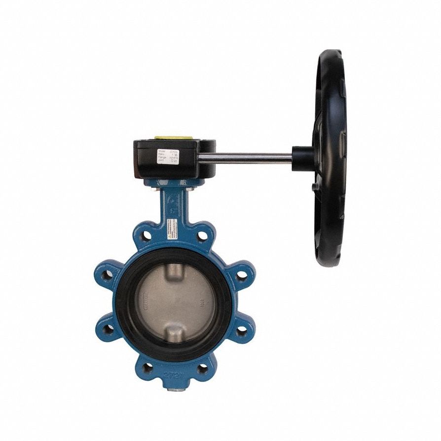 Butterfly Valve: Pipe