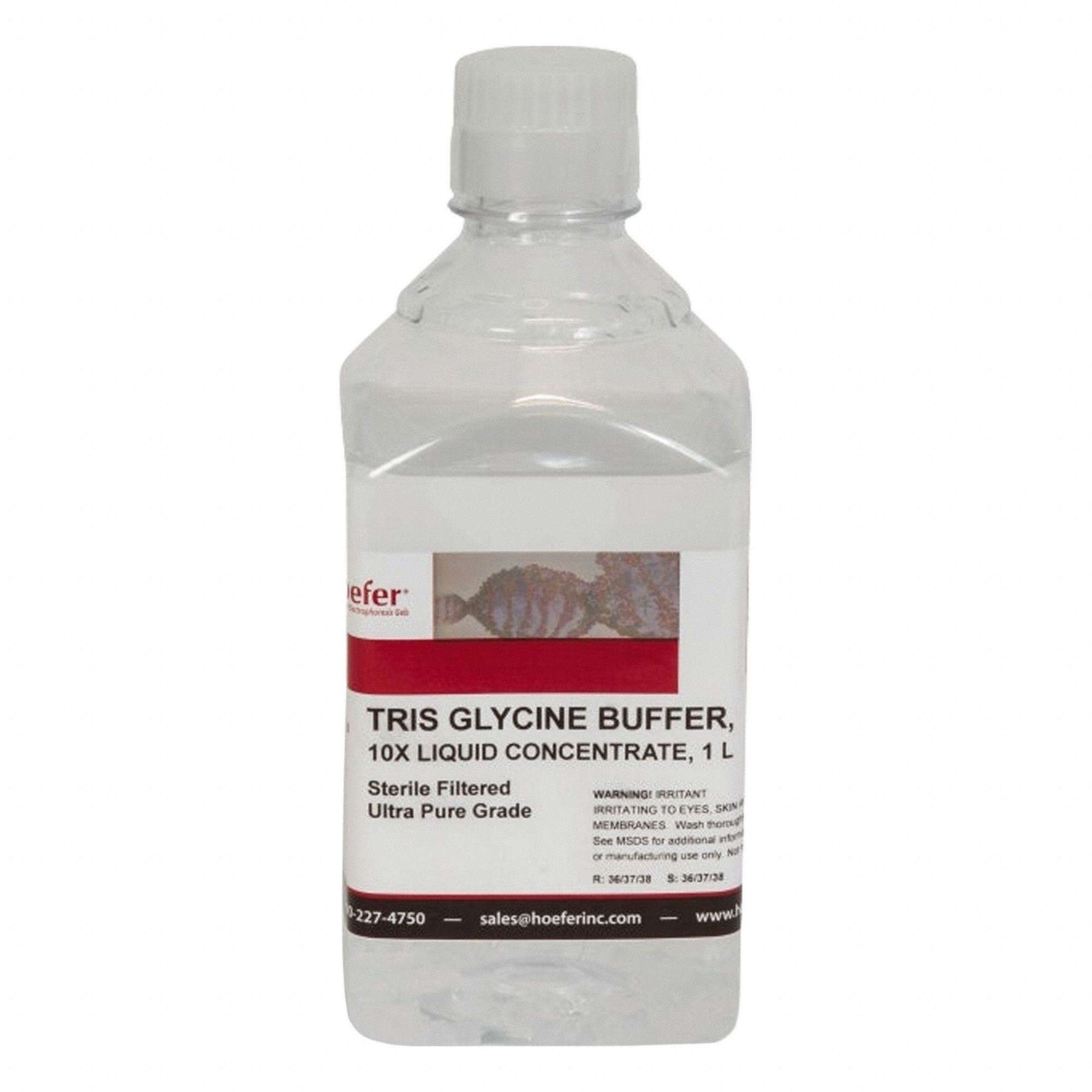Tris-Glycine Buffer Protein Electrophoresis