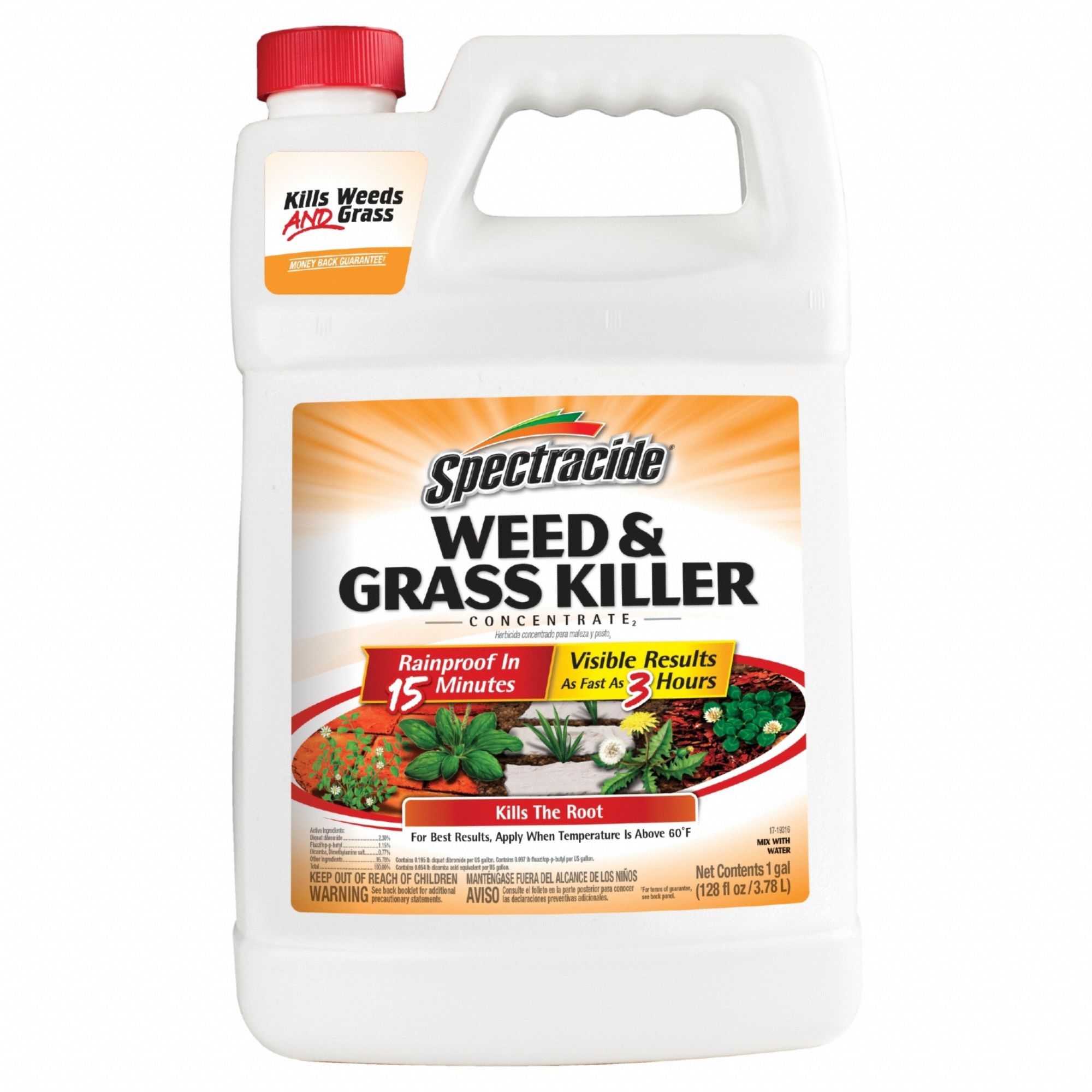 SPECTRACIDE, Liquid, Concentrate, Weed Killer 814LW3HG96620 Grainger
