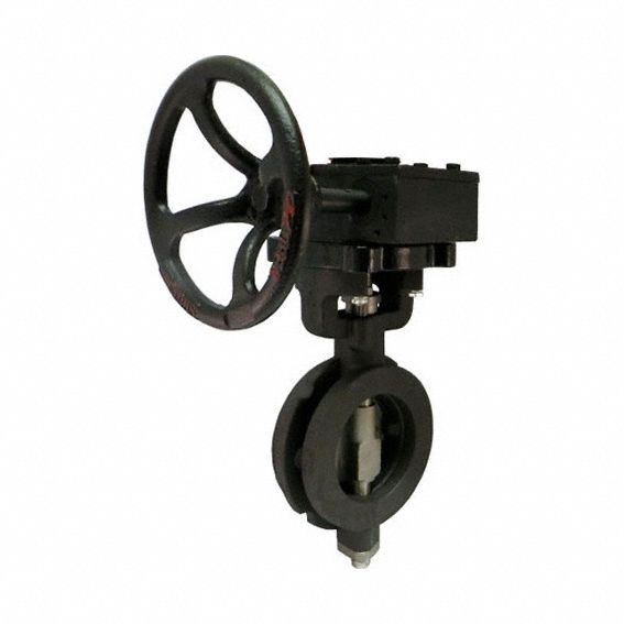 Butterfly Valve: For Water Media, 10 in Pipe Size, Wafer, 12 Bolt Holes, RPFTE, FKM