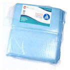 DISPOSABLE UNDERPADS, HIGHLY ABSORBENT, BLUE, 17 X 24 IN, POLYMER, PKG 300