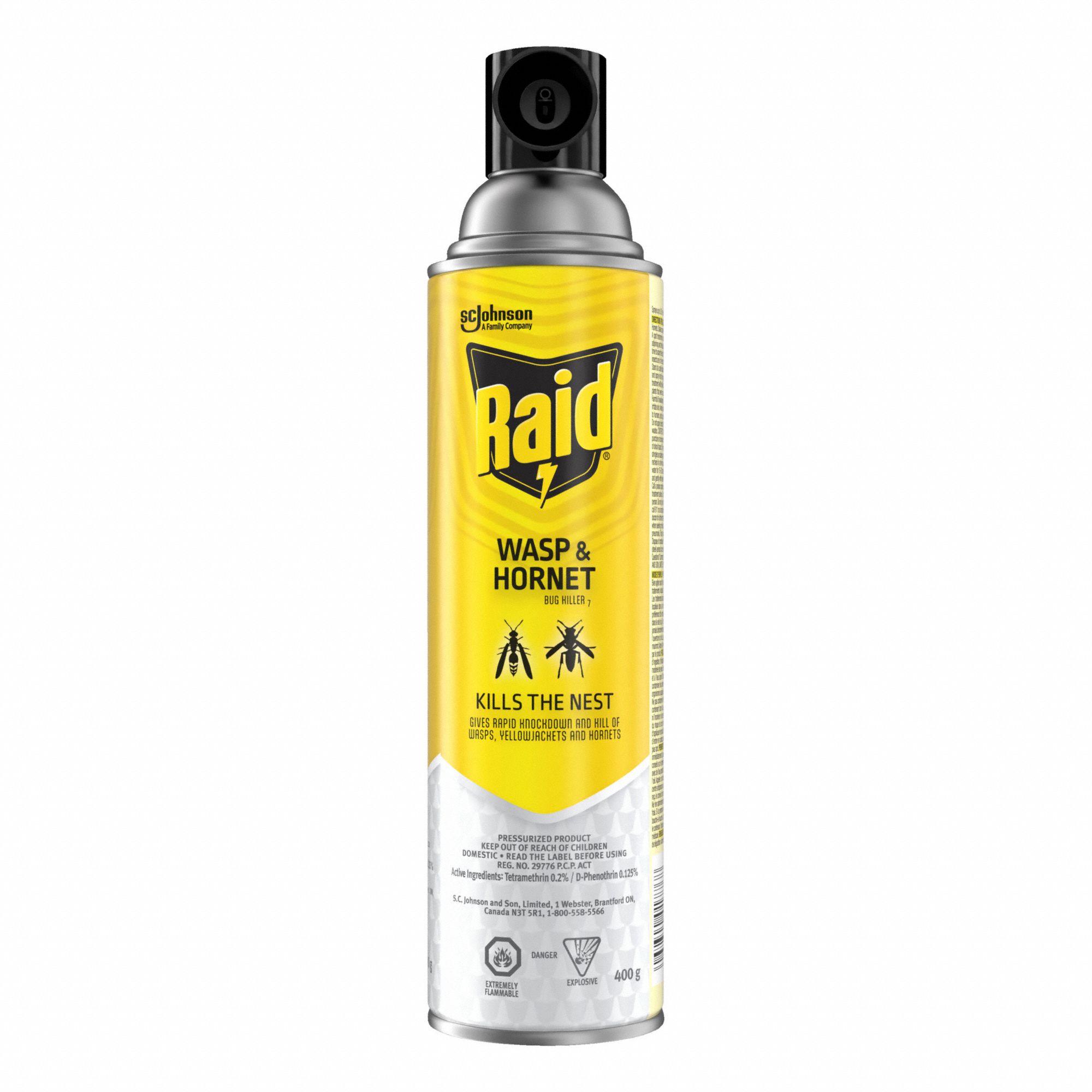 WASP HORNET BUG KILLER, AEROSOL