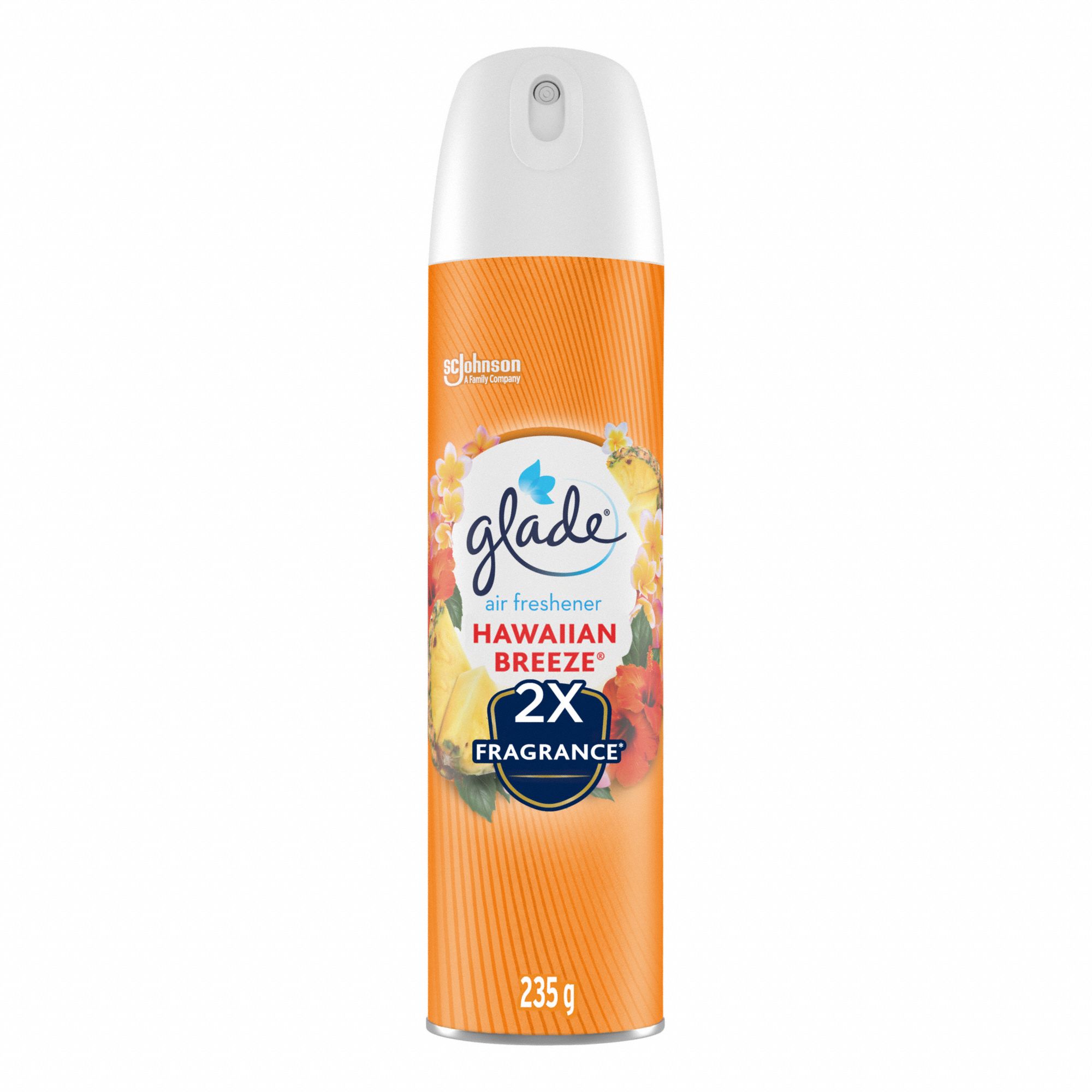 AIR FRESHENER,AEROSOL CAN,235 G SIZE