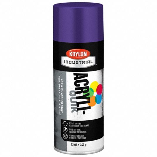 Krylon High Gloss Purple Spray Paint