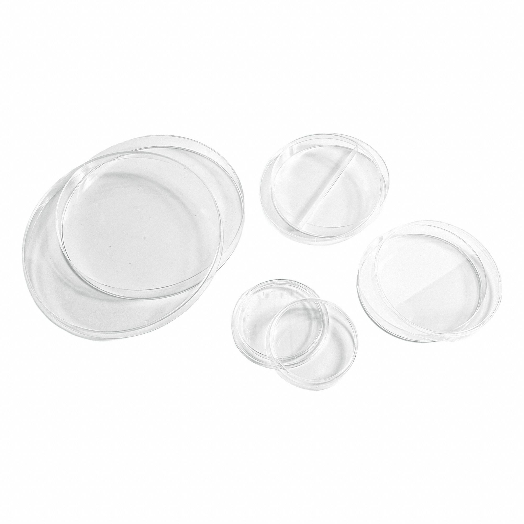 Petri Dish: 150 mm Dia, 15 mm Overall Ht, No Surface Treatment, Lid, Polystyrene, Sterile, Clear (MPN K1001-PK/180). Key specifications — Includes: Lid; Material: Polystyrene; Brand: UNITED SCIENTIFIC SUPPLIES INC; Surface Type: No Surface Treatment.