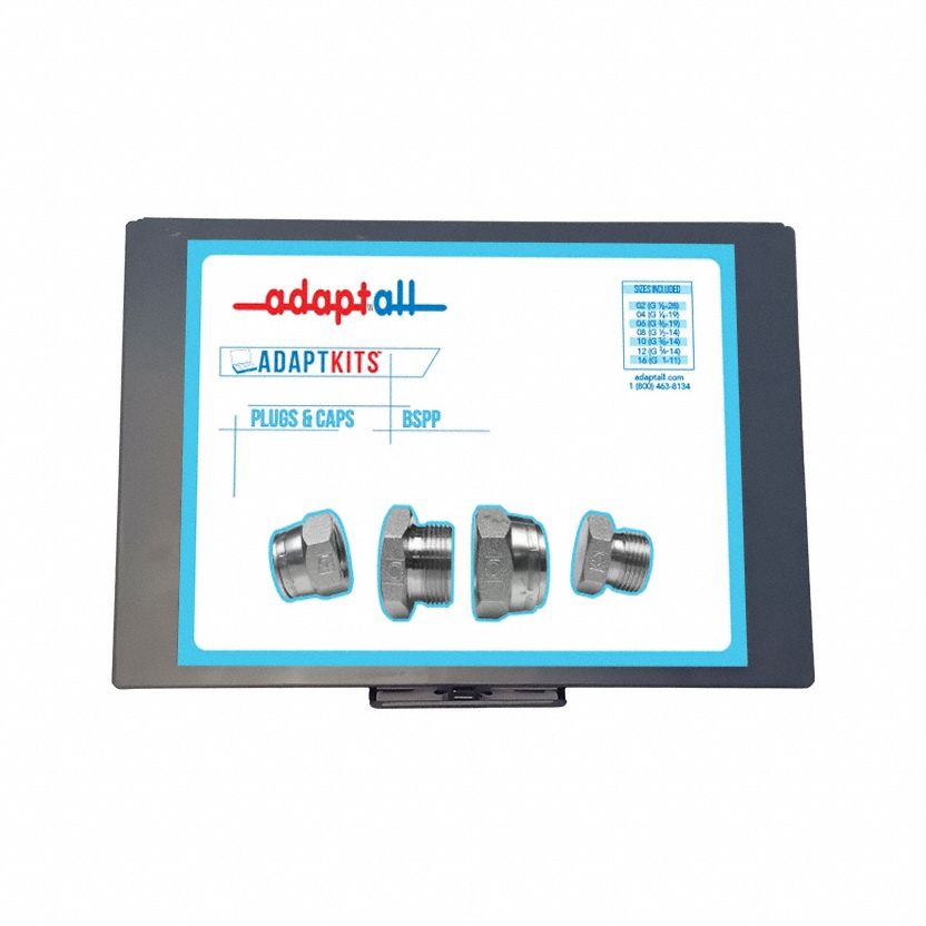 BSPP PLUG  CAP KIT