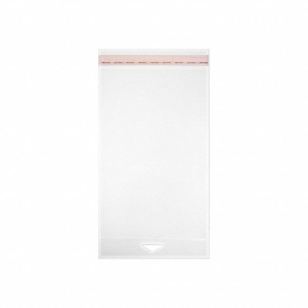 Reclosable Bag,  9 in L,  6 in W,  PK1000