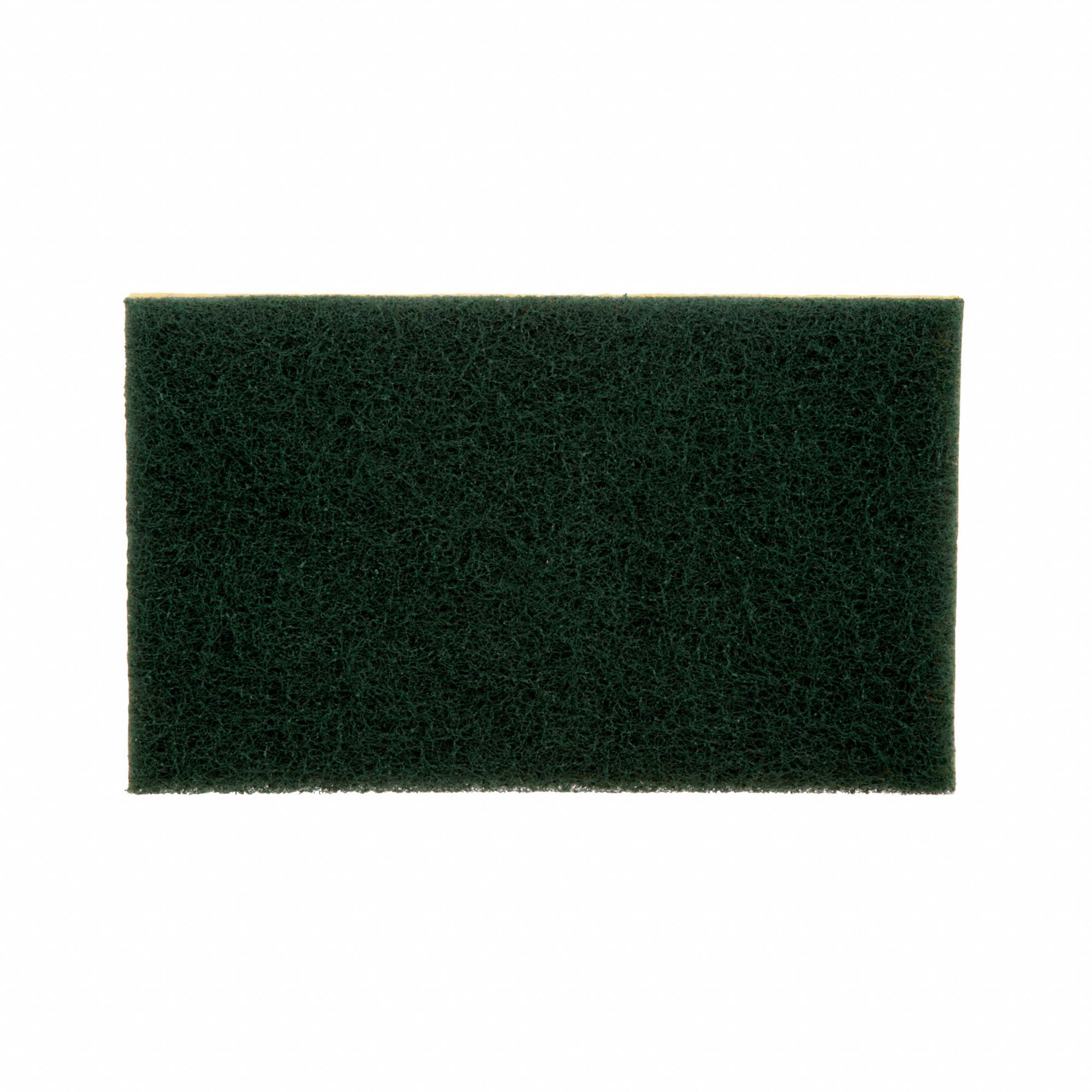 SPONGE,3.6
