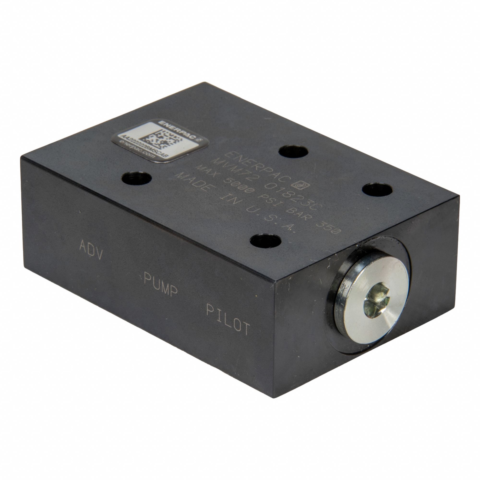 Check Valve: 5, 000 psi, 10 gpm, G.250-19, BSPP