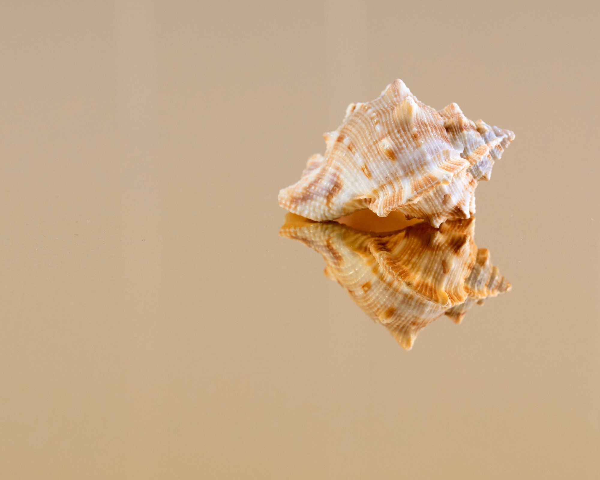 Architectural Muntz Metal & Naval Brass Sheets