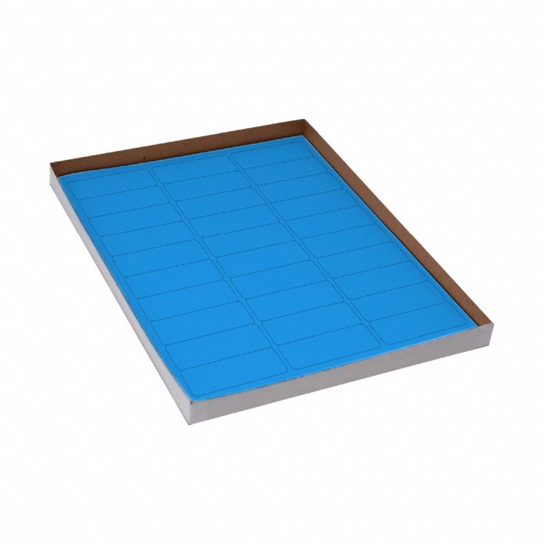 Cryogenic Label: 25 mm Label Wd, 5 mil Label Thick, Blue, Polypropylene, Chemical-Resistant, Sheet