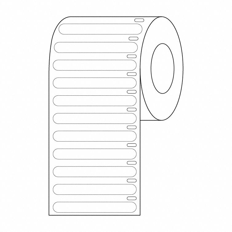 Cryogenic Label: 6 mm Label Wd, 2 in Roll Lg, White, Permanent Adhesive, Polypropylene, Cryogenic