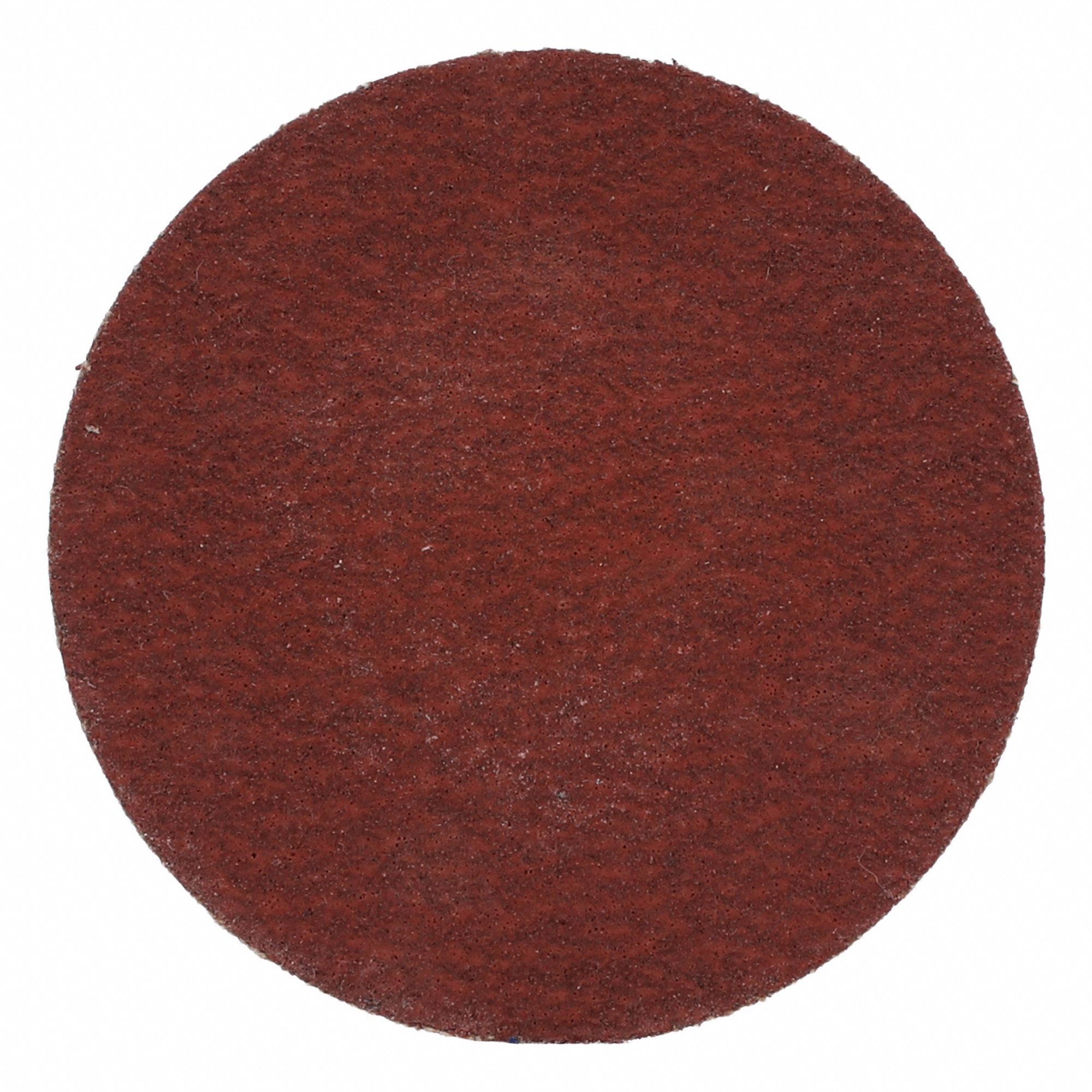 SANDING DISK,COATED,P120 GRIT,2 IN DIA