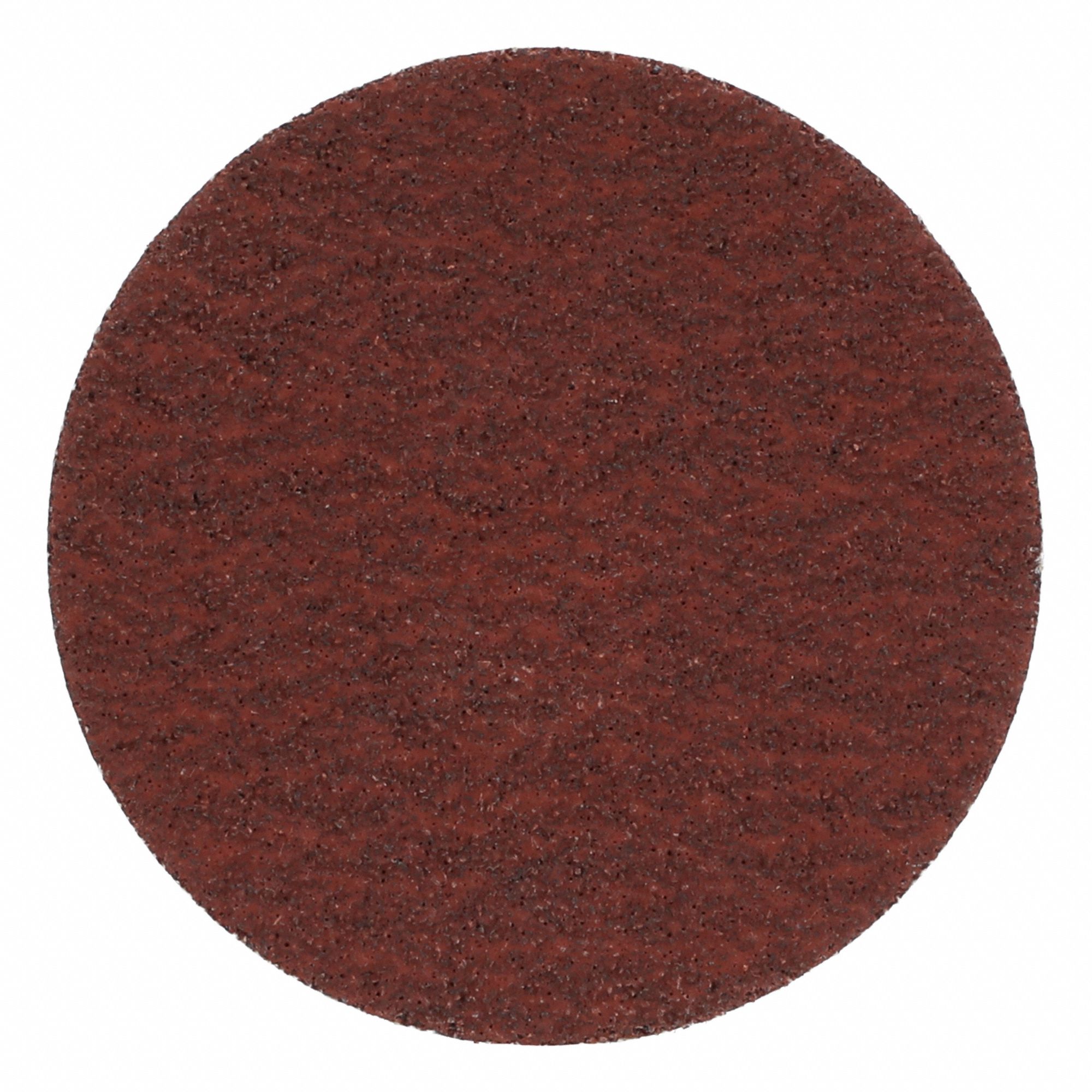 SANDING DISK,COATED,2 IN DIA
