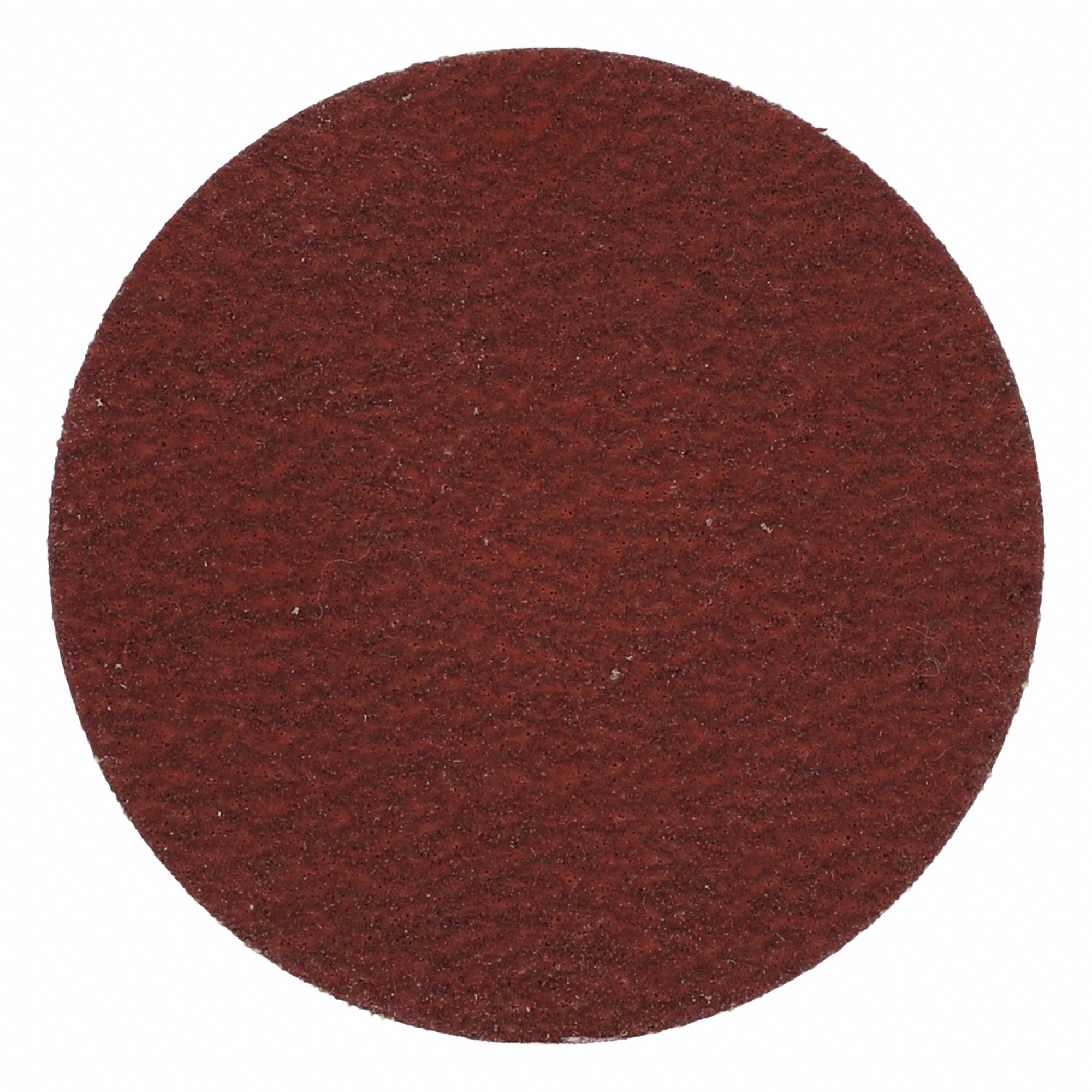 SANDING DISK,COATED,2 IN DIA