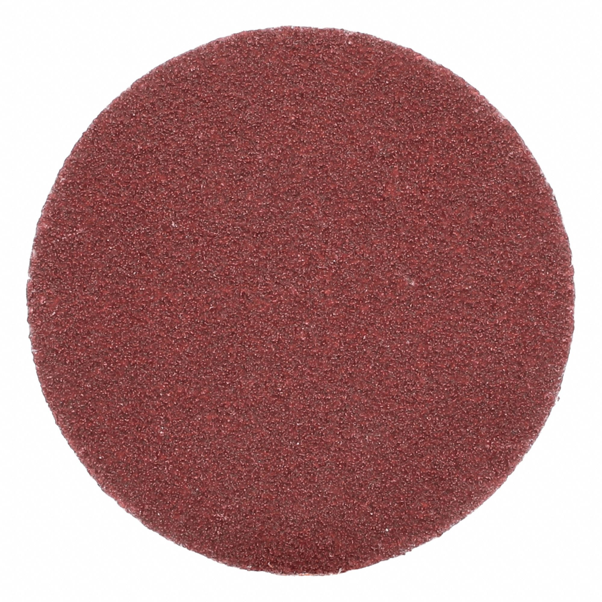 SANDING DISK,QUICK-CHANGE