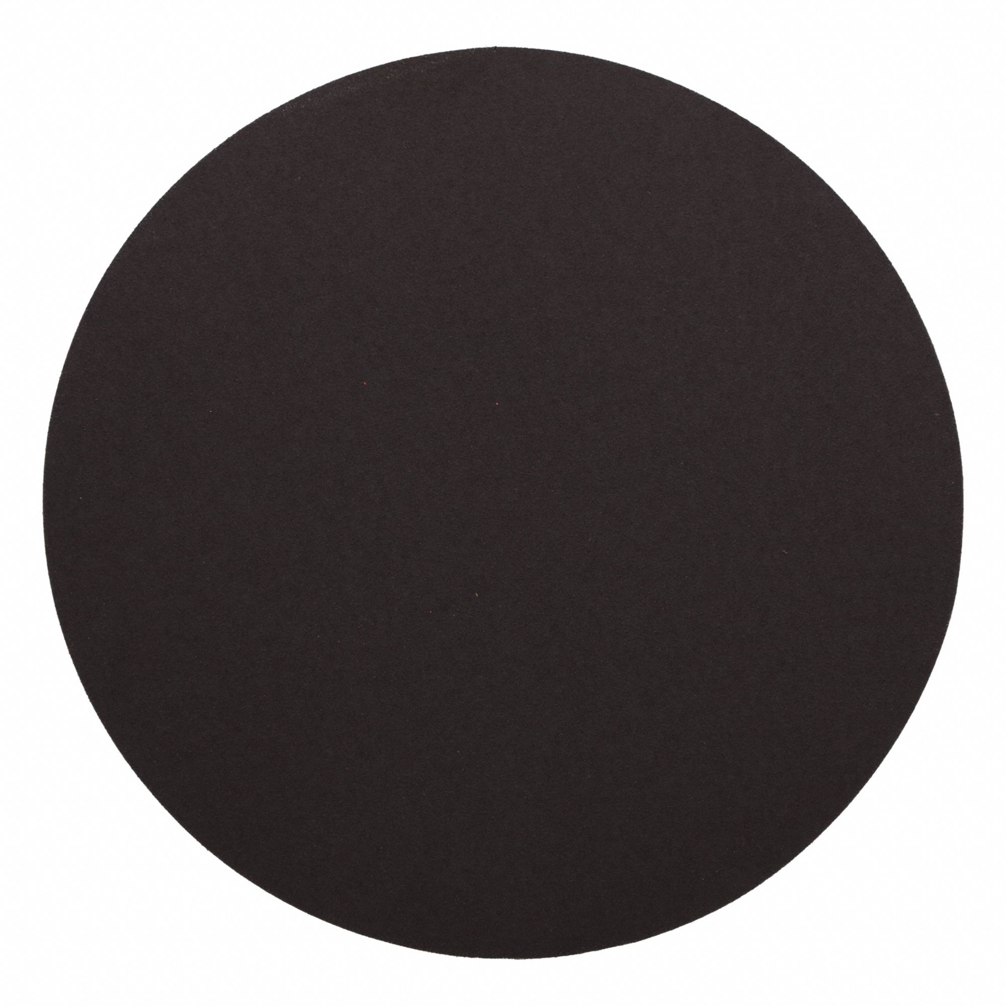 DISC 10IN BLANK R228 100X