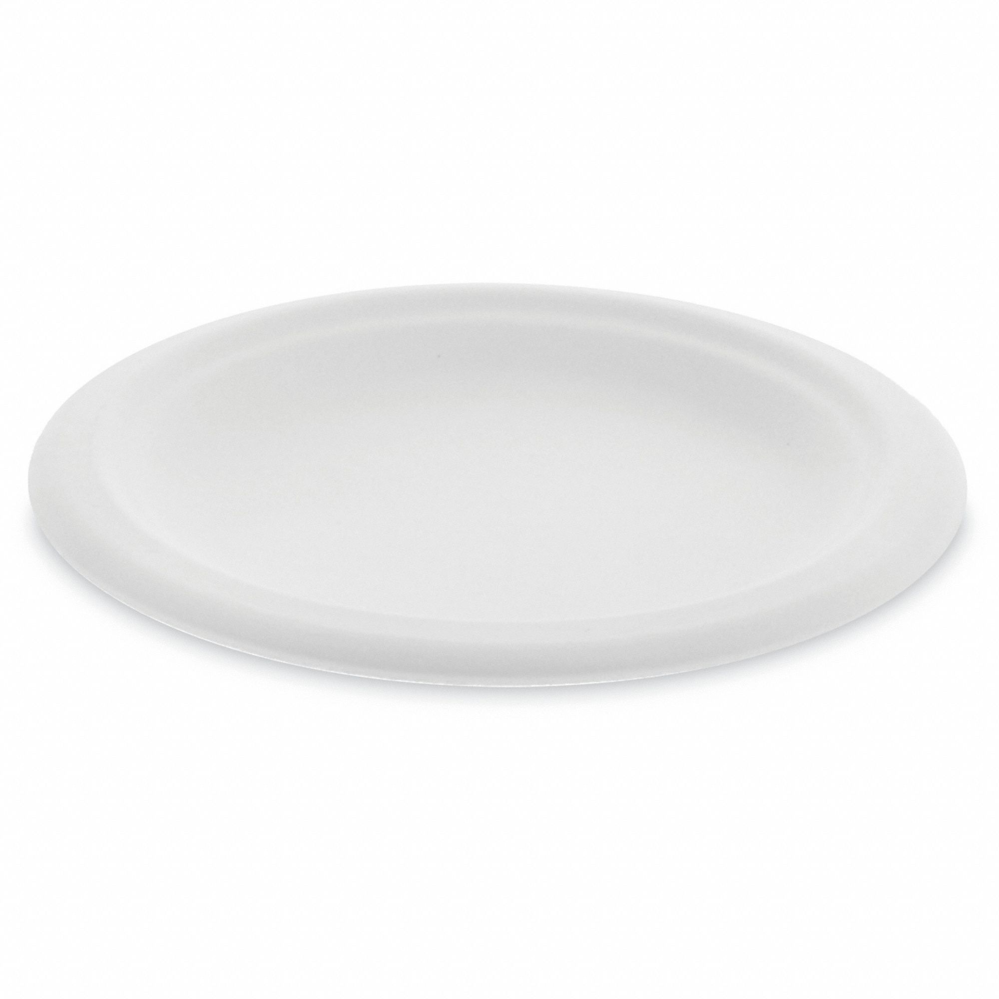 Disposable Fiber Plate: White, 6 in Disposable Plate Size, 1 Compartments, 1, 000 PK