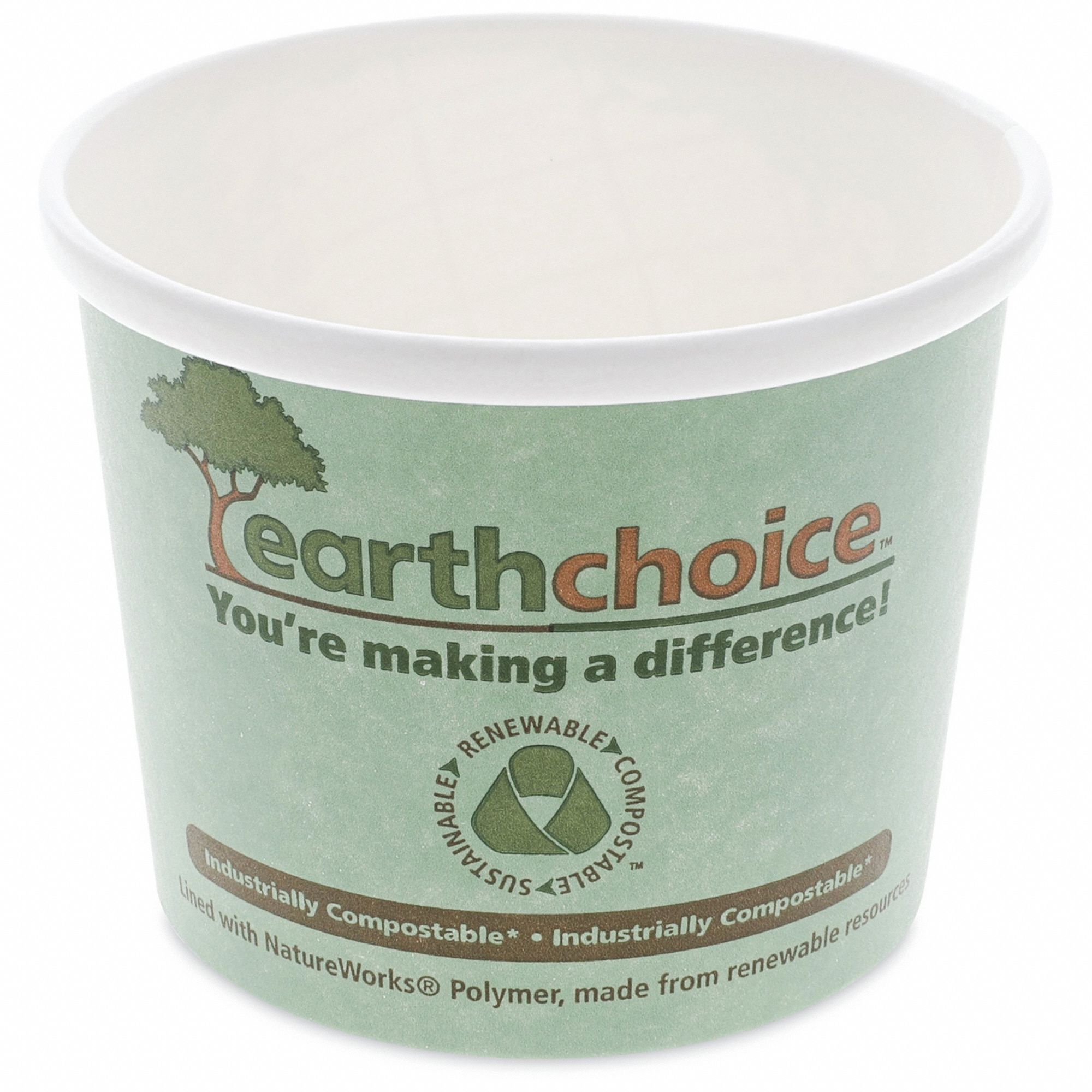 Disposable Carry-Out Soup