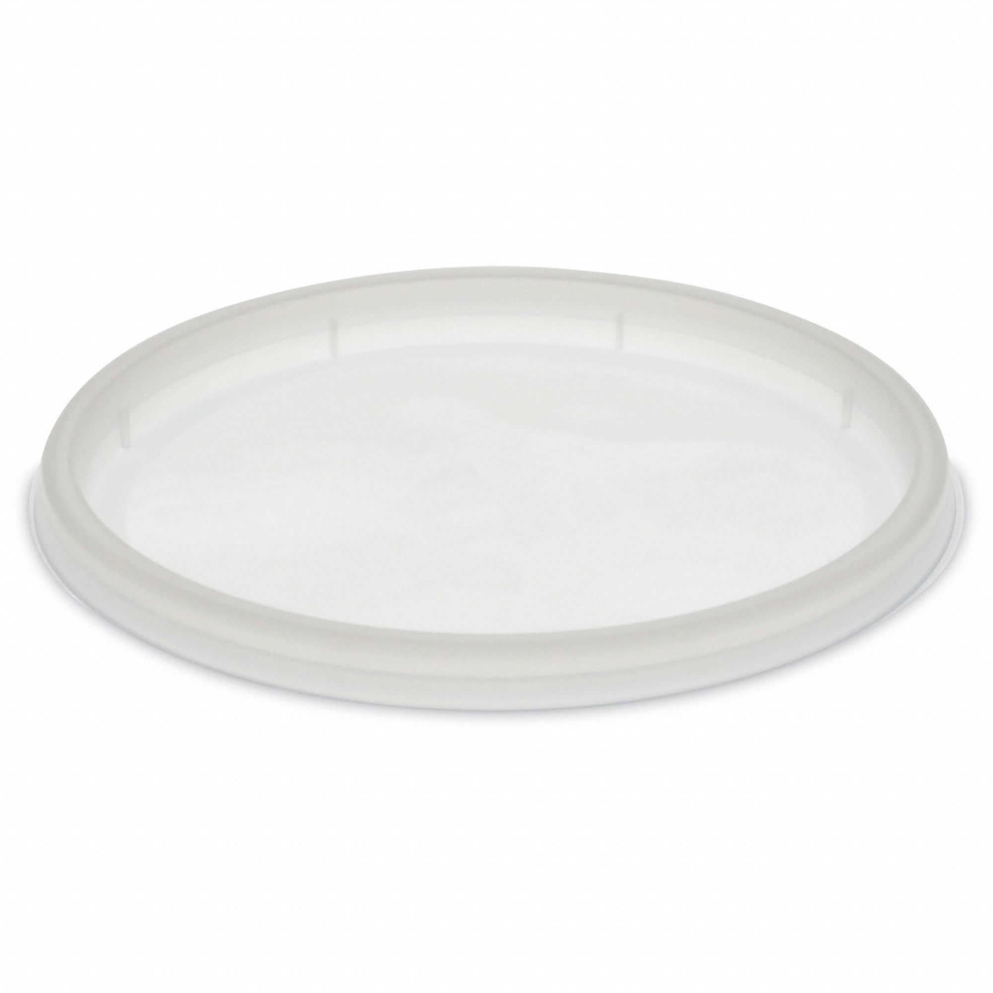 Disposable Food Container