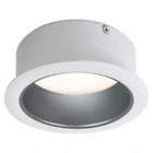 DOWNLIGHT,1,000/1,500 LM,,5 IN,16 W