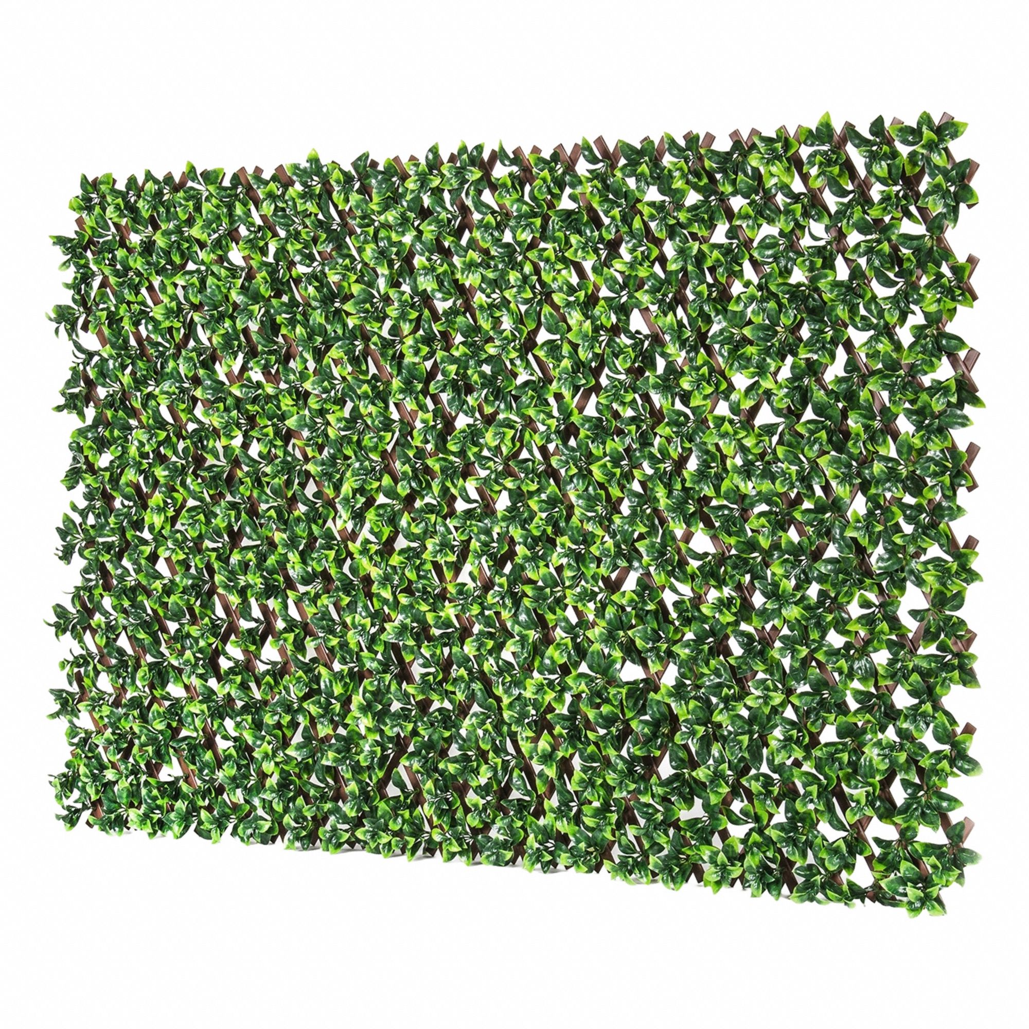 Ficus Lattice Low-Density Polyethylene