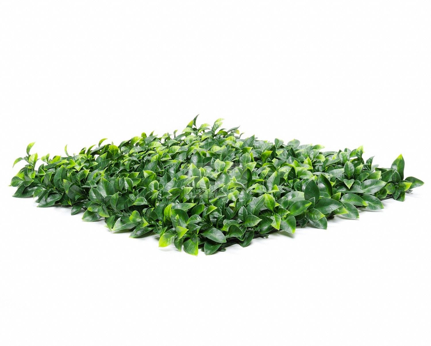Ficus Mats Low-Density Polyethylene